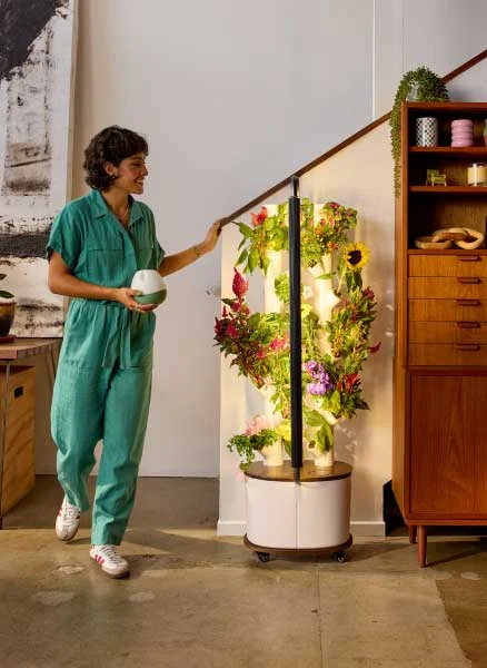 $90 Click & Grow vs $900 Gardyn Review: Best Smart Indoor Garden for Beginners?