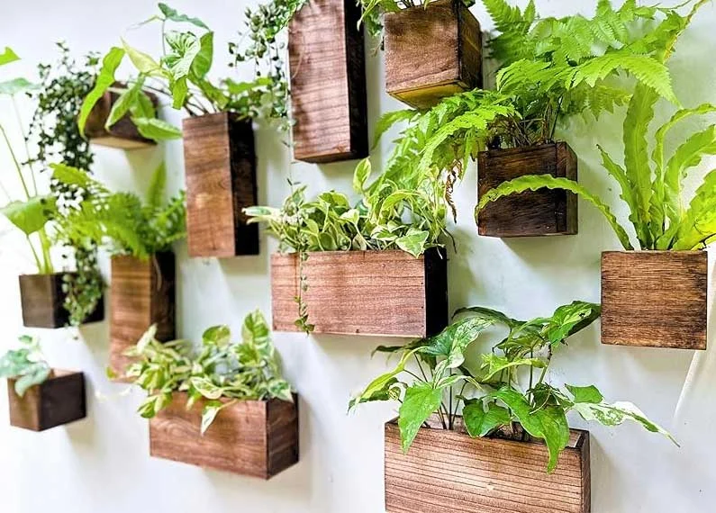 The Most Effective Living Wall Designs for Noise Reduction