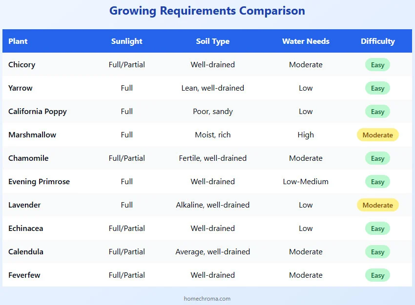 The 10 Medicinal Plants Everyone Should Have in Their Backyard 7 The 10 Medicinal Plants Everyone Should Have in Their Backyard