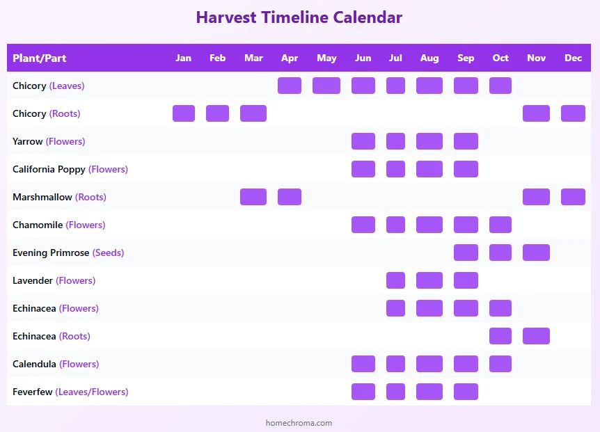 The 10 Medicinal Plants Everyone Should Have in Their Backyard 8 The 10 Medicinal Plants Everyone Should Have in Their Backyard