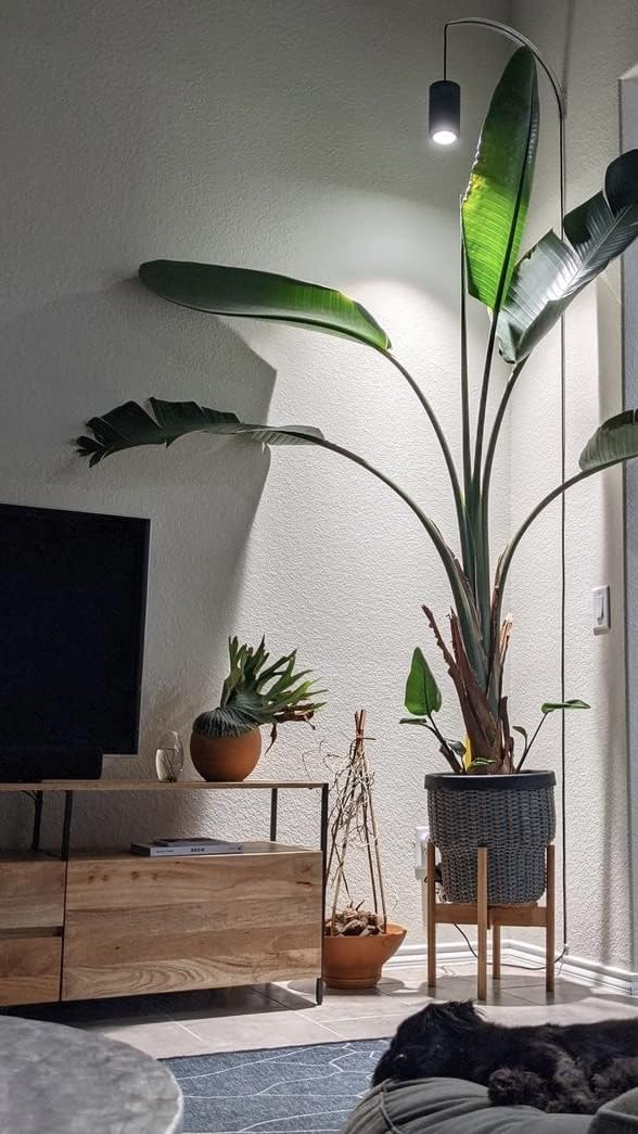 LED Grow Light Reviews: The Most Recommended Options For Your Kitchen Garden