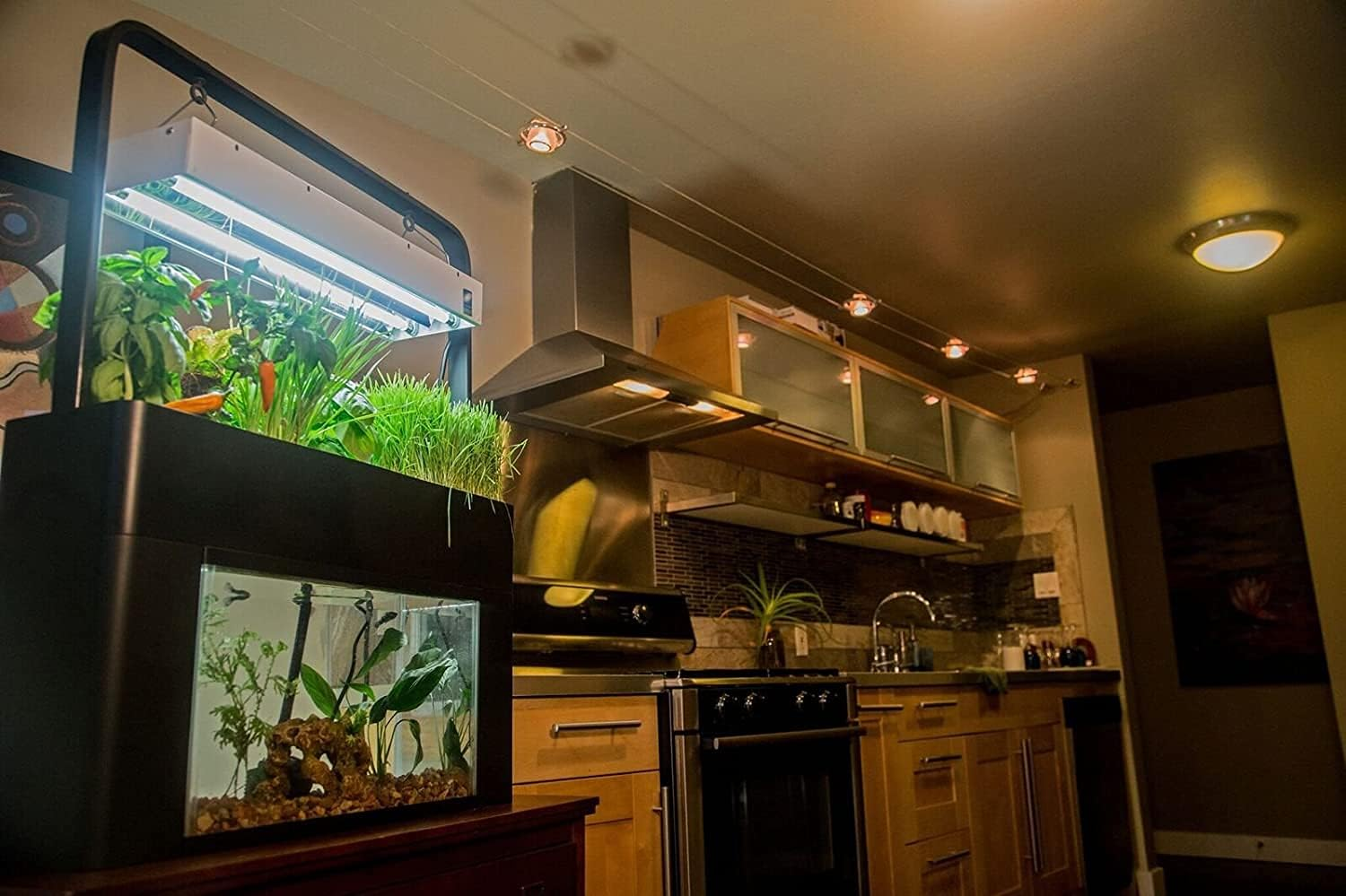 The Most Therapeutic Indoor Aquaponic Water Garden Setup