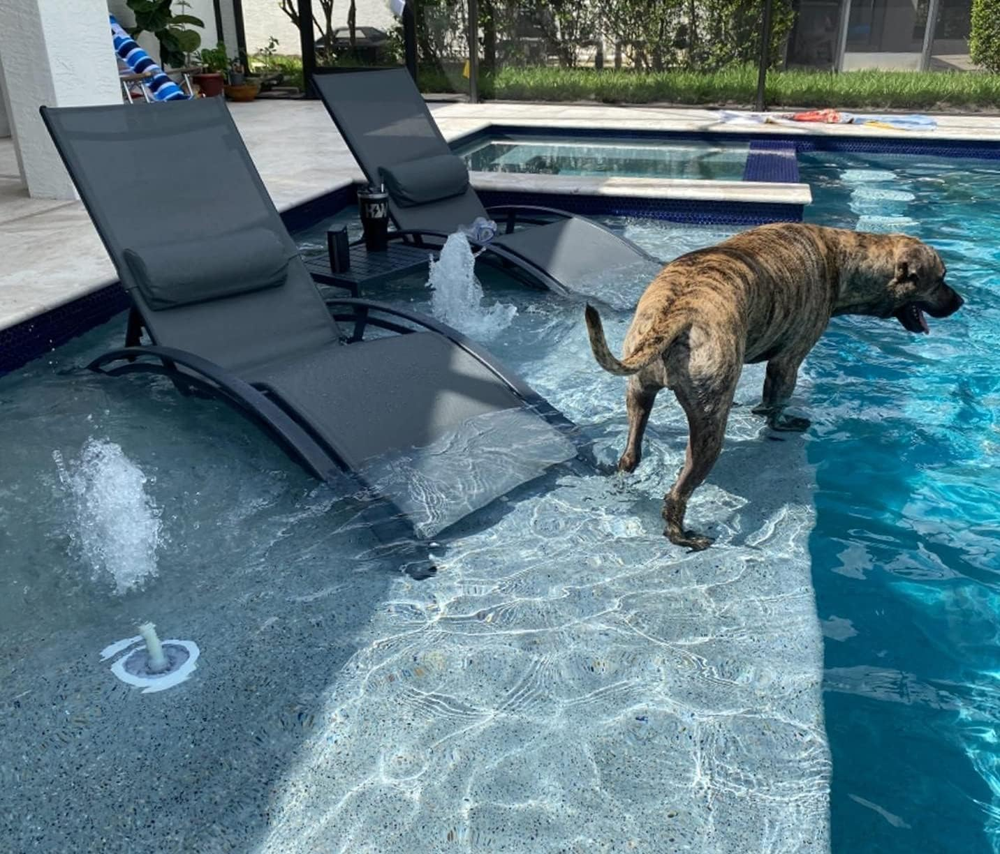 Maximizing Your Backyard: Rattan Sun Loungers vs Wicker Chaise Lounges