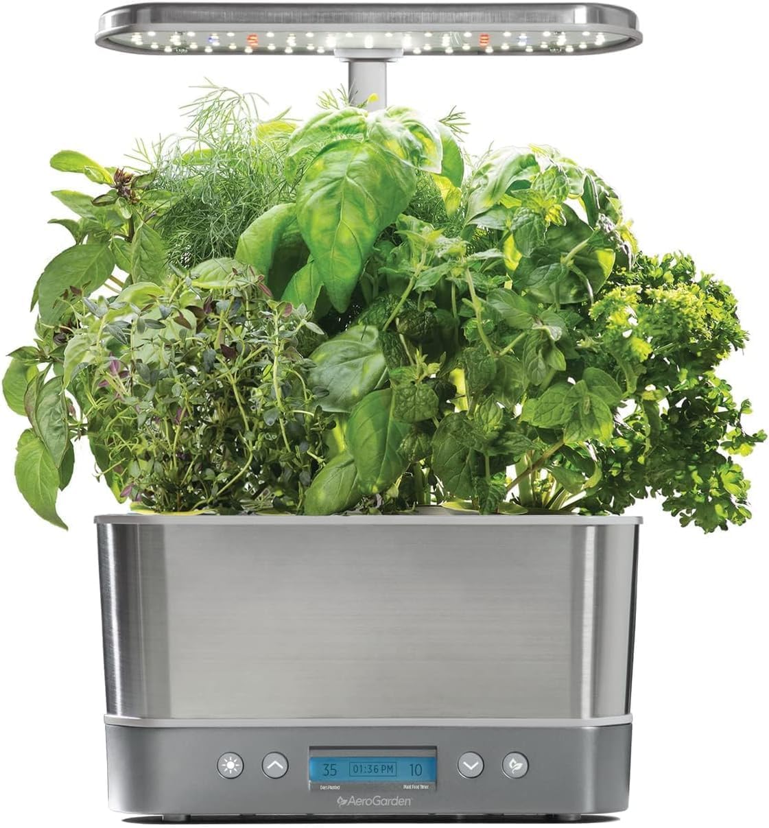Click & Grow vs AeroGarden: Complete Indoor Garden System Comparison 9 Click & Grow vs AeroGarden: Complete Indoor Garden System Comparison