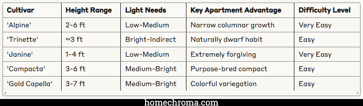 The Best Umbrella Trees for Small Apartment Living: Your Complete Guide to Compact Indoor Greenery