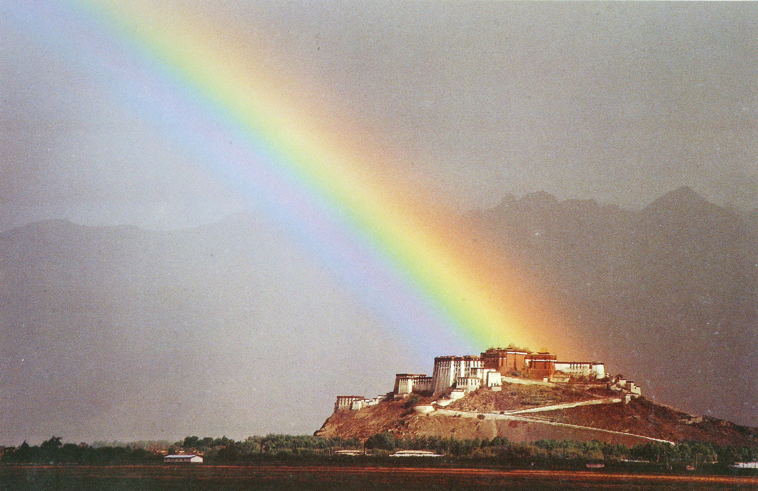 10 Most Inspiring Nature Photography Prints for Creative Flow