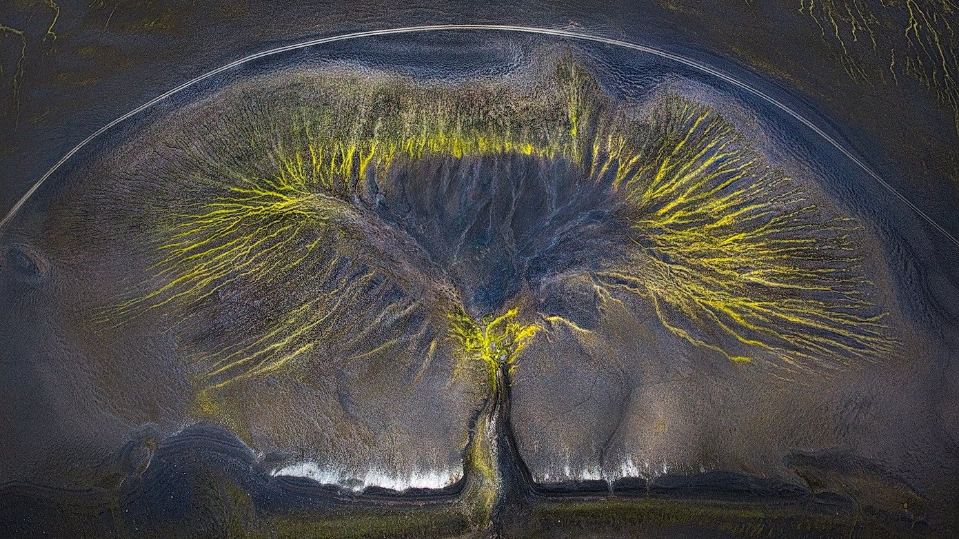 10 Most Inspiring Nature Photography Prints for Creative Flow