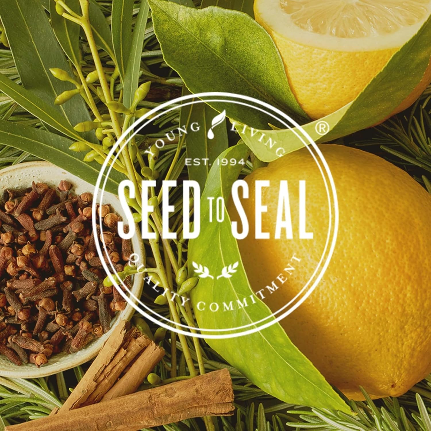 Comparing Young Living vs doTERRA Essential Oils: Which is Better?