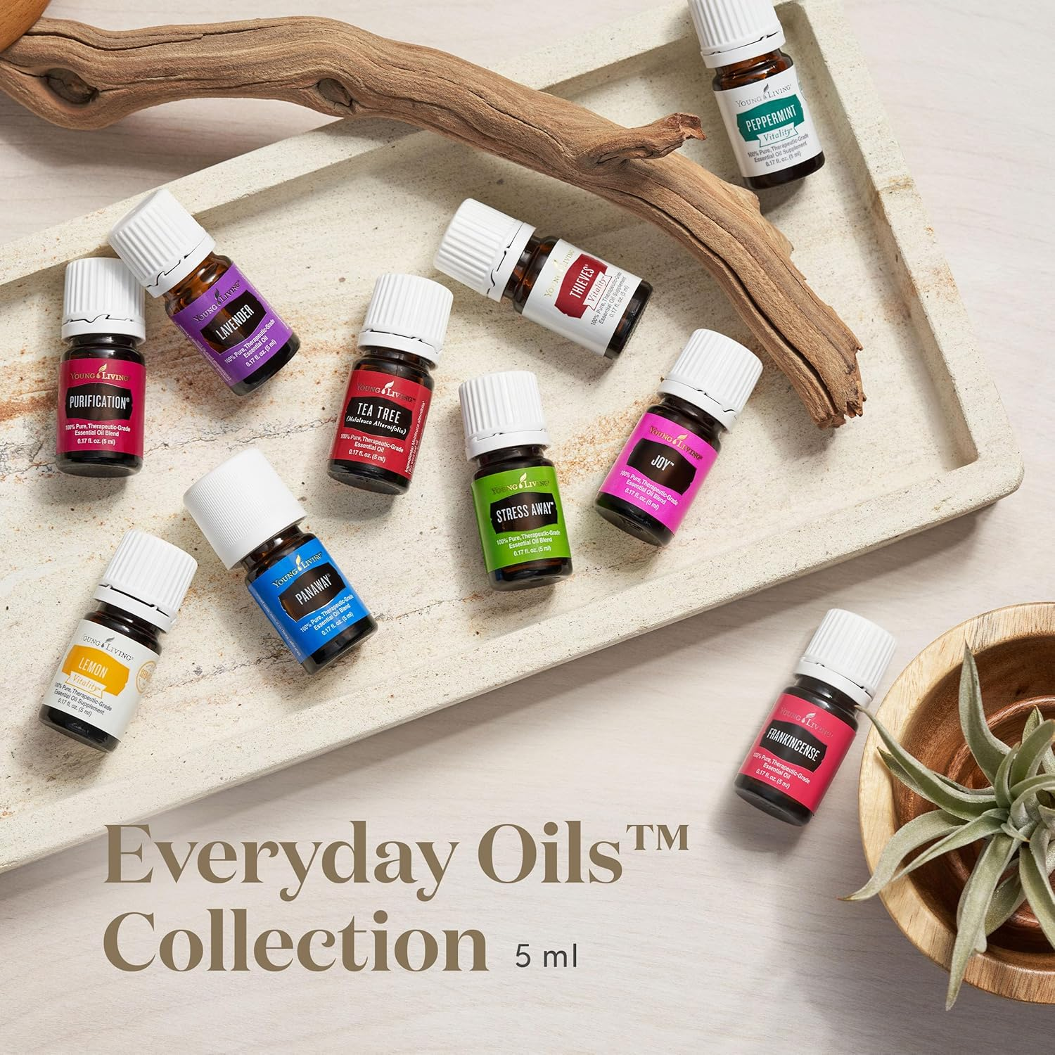 Comparing Young Living vs doTERRA Essential Oils: Which is Better?