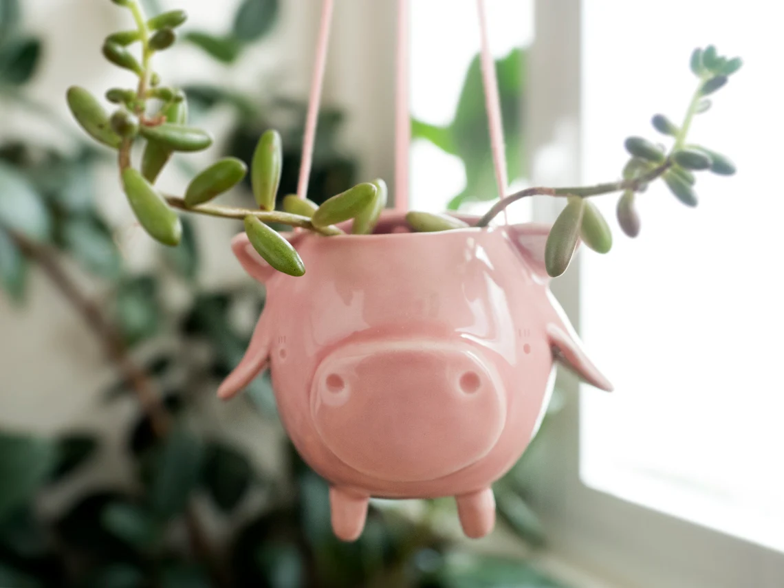 10 Fun Wall Hanging Planters To Bring Nature Indoor 1 10 Fun Wall Hanging Planters To Bring Nature Indoor