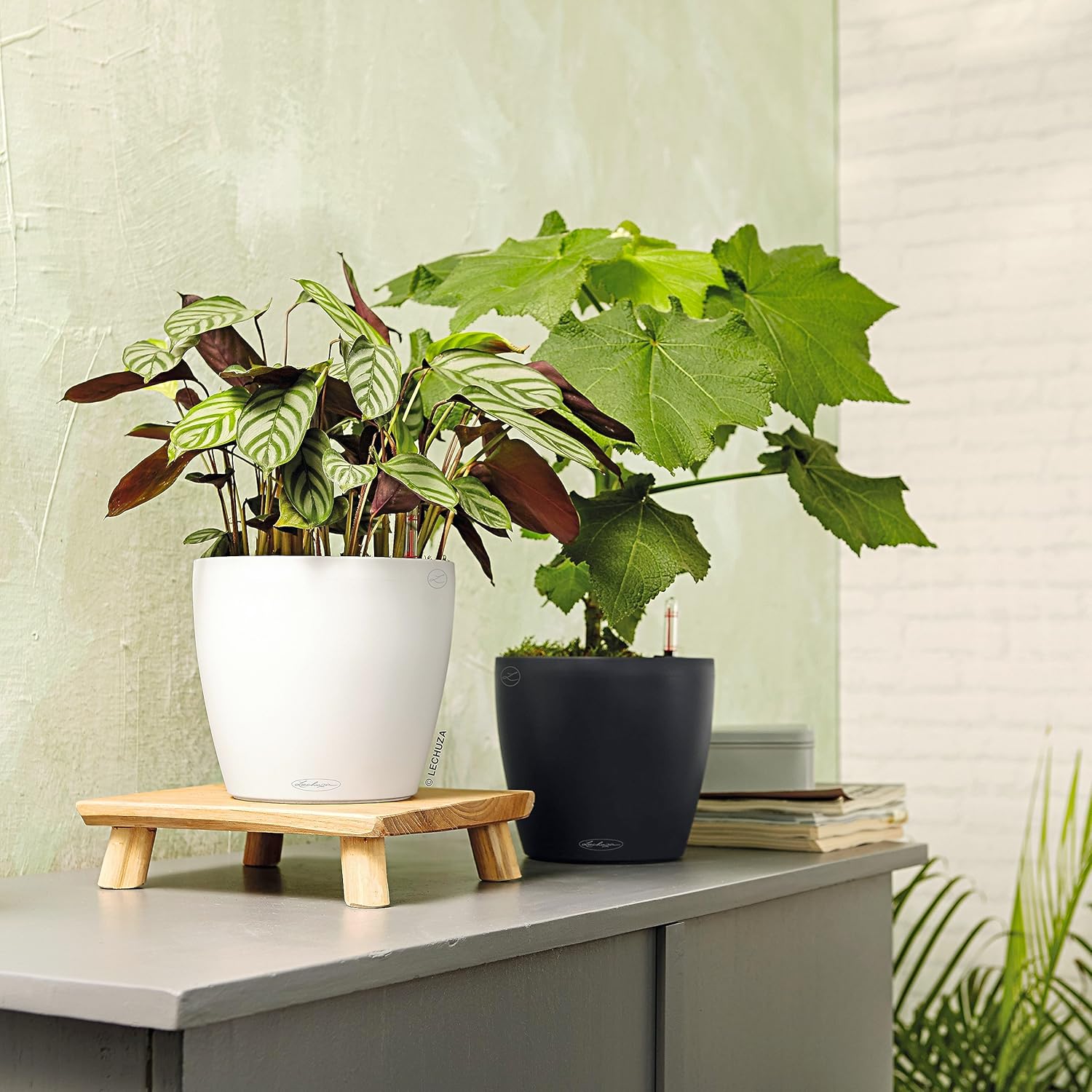 3 Low-Fuss Self-Watering Planters That Save Forgetful Plant Parents (And Their Plants)