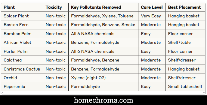 Best Air Purifying Plants for Baby Nursery: Safe & Effective Options