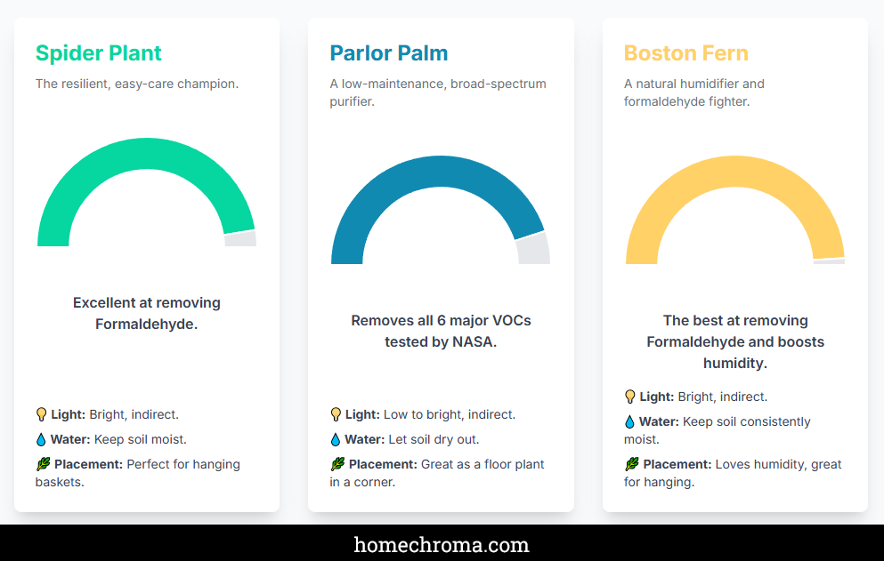 Best Air Purifying Plants for Baby Nursery: Safe & Effective Options