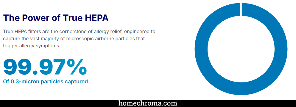 Best Car Air Purifier for Allergies: Your Complete Buyer's Guide