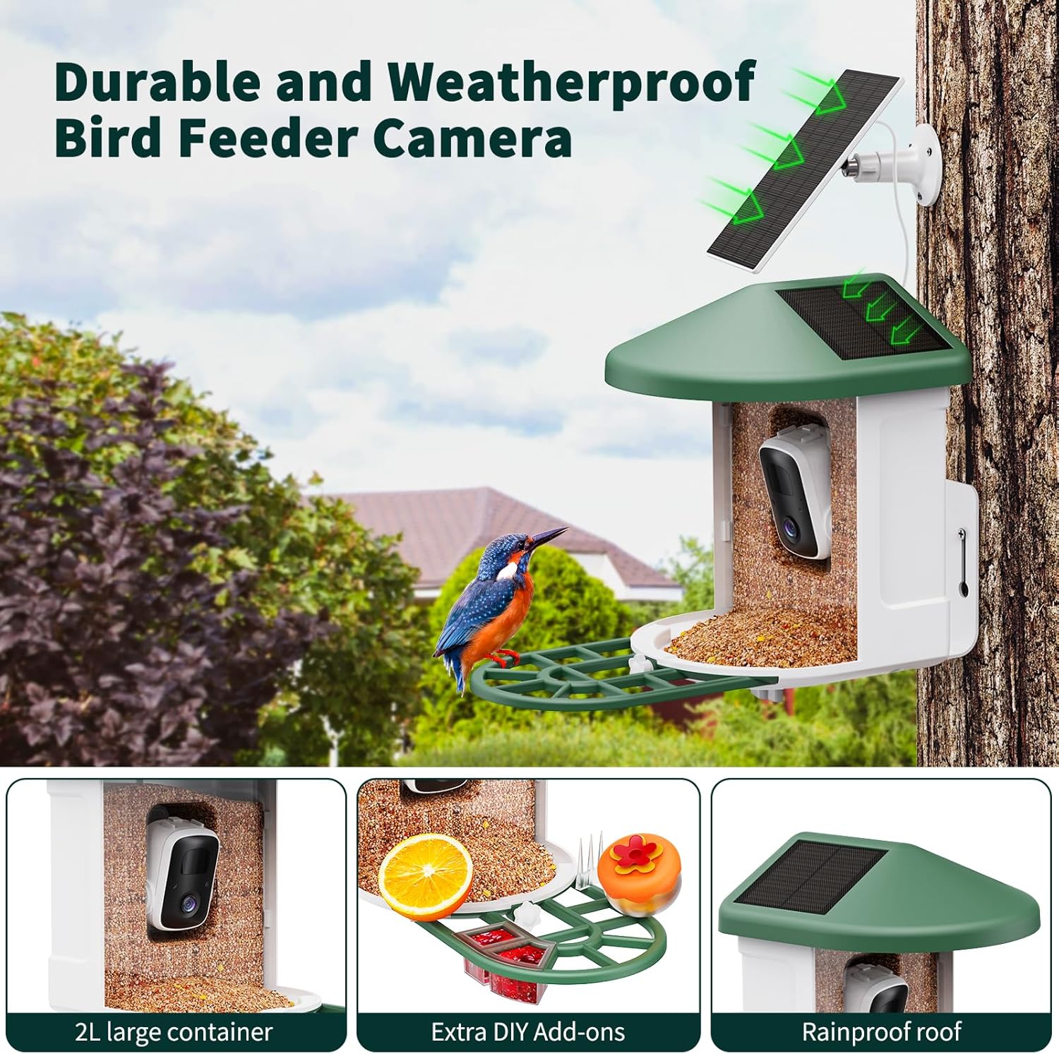 Harymor Bird Feeder Review: Smart Birdwatching Revolution or Overhyped Gadget?