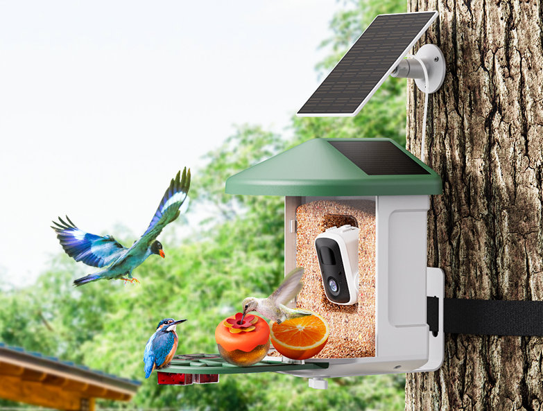 Harymor Bird Feeder Review: Smart Birdwatching Revolution or Overhyped Gadget?