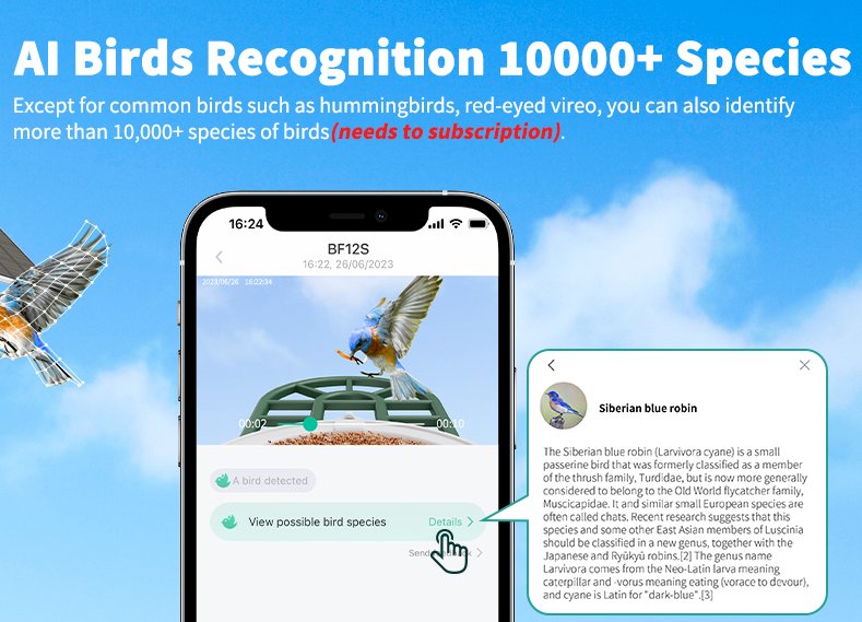 Harymor Bird Feeder Review: Smart Birdwatching Revolution or Overhyped Gadget?
