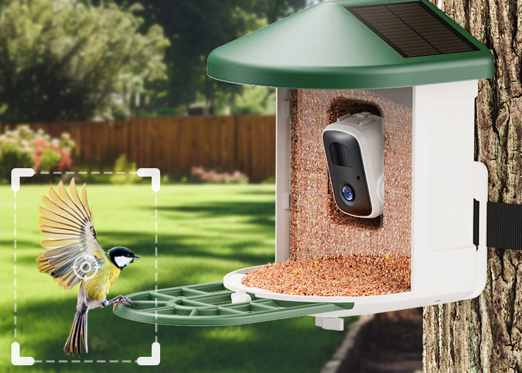 Harymor Bird Feeder Review: Smart Birdwatching Revolution or Overhyped Gadget?