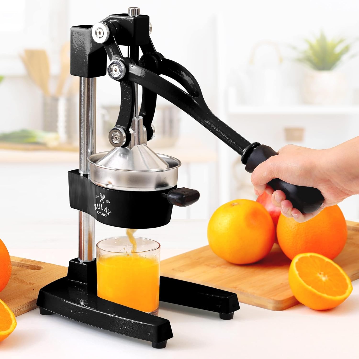 Best Cast Iron Juicer Reviews: Who Else Wants Fresh Citrus Juice in 4 Seconds Flat?