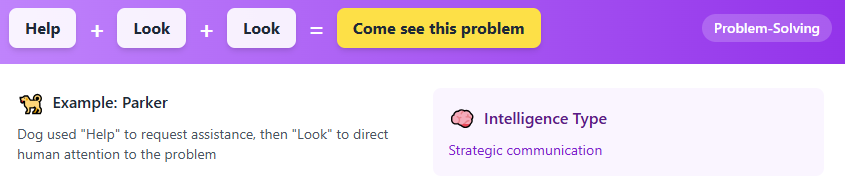 Best Dog Communication Buttons - 5 Things Your Dog Desperately Wants to Tell You But Can't (Until Now)