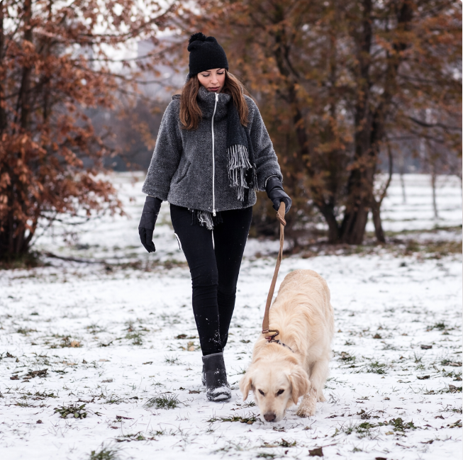 Best Fleece Lined Leggings: The 3 Mistakes Cold-Weather Shoppers Make Every Single Winter
