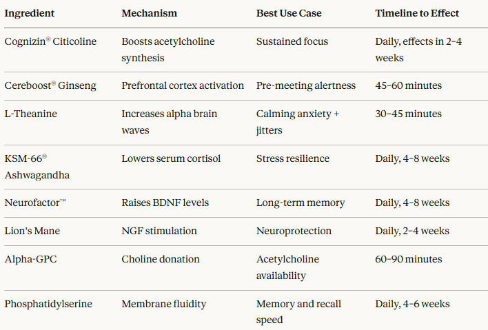 Best Nootropic Gummies: What Neuroscientists Quietly Chew Before High-Stakes Meetings And Why They'll Never Tell You