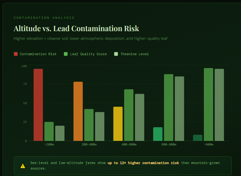 Best Ceremonial Matcha Reviewed — Do You Recognize These 6 Warning Signs Your Matcha Is Loaded With Lead Contamination From Low-Altitude Farms?